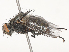  ( - CBG-A51922-H11)  @11 [ ] CreativeCommons - Attribution Share - Alike (2024) CBG Photography Group Centre for Biodiversity Genomics
