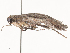  ( - CBG-A51923-D07)  @11 [ ] CreativeCommons - Attribution Share - Alike (2024) CBG Photography Group Centre for Biodiversity Genomics