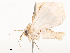  ( - CBG-A51923-G02)  @11 [ ] CreativeCommons - Attribution Share - Alike (2024) CBG Photography Group Centre for Biodiversity Genomics