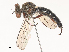  ( - CBG-A51924-E07)  @11 [ ] CreativeCommons - Attribution Share - Alike (2024) CBG Photography Group Centre for Biodiversity Genomics