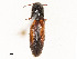  ( - CBG-A48509-B09)  @11 [ ] CreativeCommons - Attribution Share - Alike (2024) CBG Photography Group Centre for Biodiversity Genomics