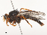  ( - CBG-A48512-D04)  @11 [ ] CreativeCommons - Attribution Share - Alike (2024) CBG Photography Group Centre for Biodiversity Genomics
