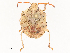  ( - CBG-A51916-E03)  @11 [ ] CreativeCommons - Attribution Share - Alike (2024) CBG Photography Group Centre for Biodiversity Genomics