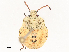  ( - CBG-A51916-E05)  @11 [ ] CreativeCommons - Attribution Share - Alike (2024) CBG Photography Group Centre for Biodiversity Genomics