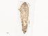  ( - CBG-A51918-E01)  @11 [ ] CreativeCommons - Attribution Share - Alike (2024) CBG Photography Group Centre for Biodiversity Genomics