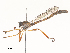  ( - CBG-A51925-G11)  @11 [ ] CreativeCommons - Attribution Share - Alike (2024) CBG Photography Group Centre for Biodiversity Genomics