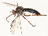  ( - CBG-A51926-F05)  @11 [ ] CreativeCommons - Attribution Share - Alike (2024) CBG Photography Group Centre for Biodiversity Genomics