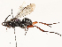  ( - CBG-A51927-D10)  @11 [ ] CreativeCommons - Attribution Share - Alike (2024) CBG Photography Group Centre for Biodiversity Genomics