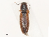  ( - CBG-A51993-F10)  @11 [ ] CreativeCommons - Attribution Share - Alike (2024) CBG Photography Group Centre for Biodiversity Genomics