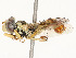  ( - CBG-A51994-C10)  @11 [ ] CreativeCommons - Attribution Share - Alike (2024) CBG Photography Group Centre for Biodiversity Genomics