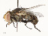  ( - CBG-A51997-D06)  @11 [ ] CreativeCommons - Attribution Share - Alike (2024) CBG Photography Group Centre for Biodiversity Genomics