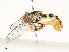  ( - CBG-A51997-D08)  @11 [ ] CreativeCommons - Attribution Share - Alike (2024) CBG Photography Group Centre for Biodiversity Genomics