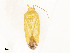  ( - CBG-A51997-E12)  @11 [ ] CreativeCommons - Attribution Share - Alike (2024) CBG Photography Group Centre for Biodiversity Genomics