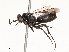  ( - CBG-A51998-H07)  @11 [ ] CreativeCommons - Attribution Share - Alike (2024) CBG Photography Group Centre for Biodiversity Genomics