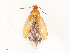  ( - CBG-A52000-E06)  @11 [ ] CreativeCommons - Attribution Share - Alike (2024) CBG Photography Group Centre for Biodiversity Genomics
