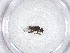  ( - CBG-A52941-E11)  @11 [ ] CreativeCommons - Attribution Share - Alike (2024) Centre for Biodiversity Genomics Centre for Biodiversity Genomics