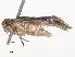  ( - CBG-A53613-E01)  @11 [ ] CreativeCommons - Attribution Share - Alike (2024) CBG Photography Group Centre for Biodiversity Genomics
