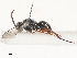  ( - CBG-A53614-C08)  @11 [ ] CreativeCommons - Attribution Share - Alike (2024) CBG Photography Group Centre for Biodiversity Genomics