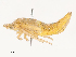  ( - CBG-A53616-H02)  @11 [ ] CreativeCommons - Attribution Share - Alike (2024) CBG Photography Group Centre for Biodiversity Genomics