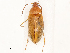  ( - CBG-A53618-F09)  @11 [ ] CreativeCommons - Attribution Share - Alike (2024) CBG Photography Group Centre for Biodiversity Genomics