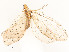  ( - CBG-A53621-F09)  @11 [ ] CreativeCommons - Attribution Share - Alike (2024) CBG Photography Group Centre for Biodiversity Genomics