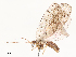  ( - CBG-A53623-B02)  @11 [ ] CreativeCommons - Attribution Share - Alike (2024) CBG Photography Group Centre for Biodiversity Genomics