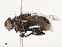  ( - CBG-A53624-A05)  @11 [ ] CreativeCommons - Attribution Share - Alike (2024) CBG Photography Group Centre for Biodiversity Genomics