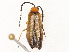  ( - CBG-A53624-C10)  @11 [ ] CreativeCommons - Attribution Share - Alike (2024) CBG Photography Group Centre for Biodiversity Genomics