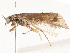  ( - CBG-A53624-E11)  @11 [ ] CreativeCommons - Attribution Share - Alike (2024) CBG Photography Group Centre for Biodiversity Genomics