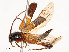  ( - CBG-A53624-G01)  @11 [ ] CreativeCommons - Attribution Share - Alike (2024) CBG Photography Group Centre for Biodiversity Genomics