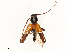  ( - CBG-A53624-G08)  @11 [ ] CreativeCommons - Attribution Share - Alike (2024) CBG Photography Group Centre for Biodiversity Genomics