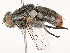  ( - CBG-A53628-H11)  @11 [ ] CreativeCommons - Attribution Share - Alike (2024) CBG Photography Group Centre for Biodiversity Genomics