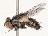  ( - CBG-A53661-A06)  @11 [ ] CreativeCommons - Attribution Share - Alike (2024) CBG Photography Group Centre for Biodiversity Genomics