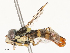  ( - CBG-A53661-C04)  @11 [ ] CreativeCommons - Attribution Share - Alike (2024) CBG Photography Group Centre for Biodiversity Genomics