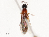  ( - CBG-A53664-A12)  @11 [ ] CreativeCommons - Attribution Share - Alike (2024) CBG Photography Group Centre for Biodiversity Genomics