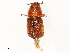  ( - CBG-A54397-E10)  @11 [ ] CreativeCommons - Attribution Share - Alike (2024) CBG Photography Group Centre for Biodiversity Genomics