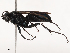  ( - CBG-B00903-B06)  @11 [ ] CreativeCommons - Attribution Share - Alike (2025) CBG Photography Group Centre for Biodiversity Genomics