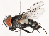  ( - CBG-B01171-D04)  @11 [ ] CreativeCommons - Attribution Share - Alike (2025) CBG Photography Group Centre for Biodiversity Genomics