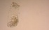  ( - IZCON052)  @12 [ ] No Rights Reserved  Unspecified Unspecified