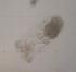  ( - IZCON077)  @12 [ ] No Rights Reserved  Unspecified Unspecified