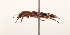  ( - CIQ-62647)  @11 [ ] by-nc-nd (2021) Marie-Chantal Emond Ministère des Forêts, de la Faune et des Parcs du Québec