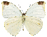  ( - NPH-OB-001)  @13 [ ] Copyright (2009) Unspecified Unspecified