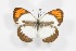  ( - BC-TB3562)  @14 [ ] Copyright (2009) Unspecified Unspecified