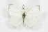  ( - BC-TB3628)  @14 [ ] Copyright (2009) Unspecified Unspecified