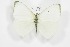  ( - BC-TB3632)  @14 [ ] Copyright (2009) Unspecified Unspecified