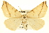  (Neoterpes - BIOUG02040-F11)  @15 [ ] CreativeCommons - Attribution (2012) CBG Photography Group Centre for Biodiversity Genomics