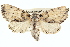  ( - BIOUG02040-H05)  @14 [ ] CreativeCommons - Attribution (2012) CBG Photography Group Centre for Biodiversity Genomics