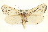  ( - BIOUG02040-H11)  @14 [ ] CreativeCommons - Attribution (2012) CBG Photography Group Centre for Biodiversity Genomics