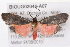  ( - BIOUG02044-A07)  @12 [ ] CreativeCommons - Attribution (2012) CBG Photography Group Centre for Biodiversity Genomics