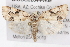  ( - BIOUG02044-A09)  @14 [ ] CreativeCommons - Attribution (2012) CBG Photography Group Centre for Biodiversity Genomics